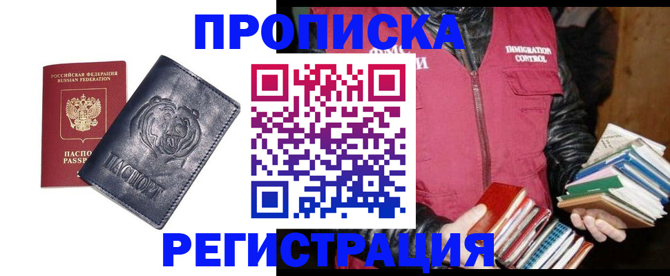 прописка поиск в Бердске
